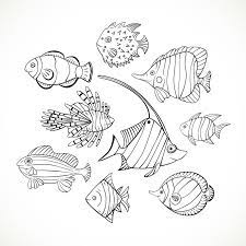 Set 9 Hand Drawn Fish Png Doodle Fishes Svg Fish Clipart Etsy In 2021 Fish Drawings Drawn Fish Fish Illustration