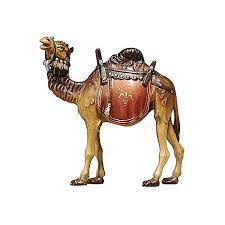 It is not surprising, then, that camel saddles vary as much as the cultures that make them and the work the camels do, as well as the resources available for fabrication. Brown Camel With Saddle 11 Cm Nativity Rainell In Painted Online Sales On Holyart Com