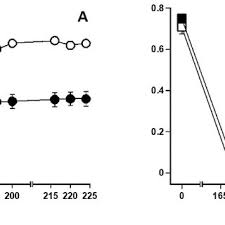 Image result for Crepidomanes inopinatum