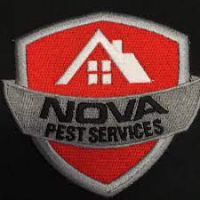 Depend on us for bee and wasp removal services. The 10 Best Pest Control Companies In Temple City Ca 2021 Homeguide