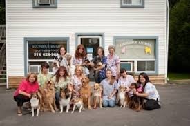 The products aid in the healing and symptomatic relief from various ailments ranging from natural dewormers to anxiety and pain relief. Pet Shops Near Vaudreuil Shopping Centre Vaudreuil Dorion Qc Yellowpages Ca