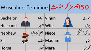 Masculine And Feminine English Vocabulary Words English Words Vocabulary Words