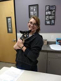 Expert recommended top 3 veterinary clinics in mesa, arizona. Family Vetcare Of Chandler 69 Photos 105 Reviews Veterinarians 5995 W Chandler Blvd Chandler Az Phone Number Yelp