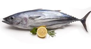 Dewasa ini apa yang kita makan akan menjadikan kita seperti apa yang dimakan. Ikan Cakalang Manfaat Gizi Dan Efek Sampingnya Idn Medis