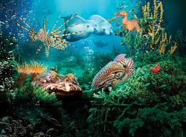 Image result for sea