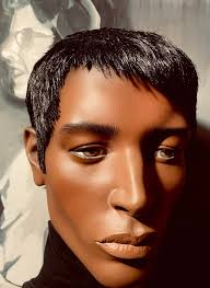 Male mannequin wig recommendations needed