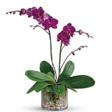 Hours may change under current circumstances Infinity Floral Designs Home Facebook