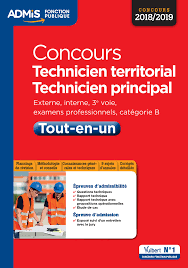Amazon Fr Concours Technicien Territorial Technicien Principal Categorie B Tout En Un Concours 2018 2019 Fenard Youenn Crepeaux Pierre Fenard Anais Livres