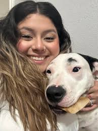 Lost dog in Palo Pinto area found with community help