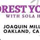 Forest Yoga with Sola Habibi event image