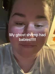 How Long Are Ghost Shrimp Pregnant for