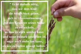 Der Stillzwerg Zitate