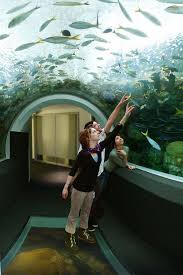 Discovery World Reiman Aquarium Aquarium Oh The Places You Ll Go Places To Go