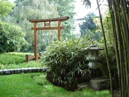 Pin Auf Hecken Und Pflanzen