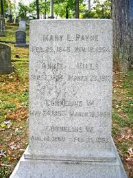 Mary Larcombe Payne (1850 - 1904) - Find A Grave Memorial - 97517943_135066665050