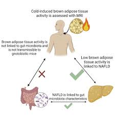 Image result for Beige 1972 Caloric