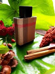 Burberry london men eau de toilette cheap