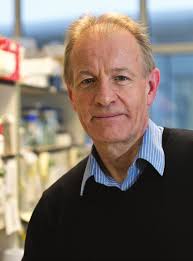 Annual Report and Accounts for the year ended 31 March 2016