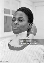 31 Miss Jane Pittman Stock Photos, High-Res Pictures, and Images