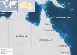 One of the world's seven natural wonders, it is a prized world heritage area, the largest coral reef system and the biggest living structure on the planet. Cgzmh2jxn2s6km