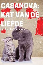 Pin Op Kattennamen Voor Kater