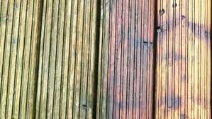 Garten Pflege Tipps Fur Pflanzen Und Ideen Zur Gestaltung Terrasse Reinigen Holzdielen Holzboden Terrasse