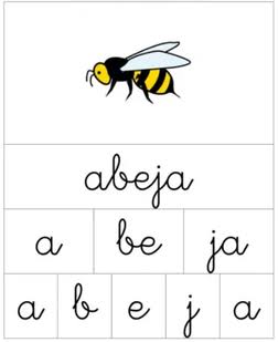 LETRA, SÍLABA Y PALABRA - Página web de tiptopclass