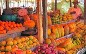 Les Fruits De Madagascar Fruit Pumpkin Madagascar