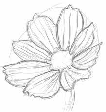 Drawn Flower Unique Flower 7 Realistic Flower Drawing Flower Line Drawings Flower Drawing Tutorials