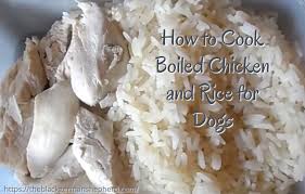 Remove the chicken and pat it dry. Boiled Chicken And Rice For Dogs Recipe For Dogs Damn Delicious
