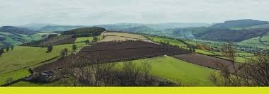 Shares of wendy's surged on tuesday after small traders cheered the stock and drove the next 'meme stock' rally. N Csr 1 Tm2023284d1 Ncsr Htm N Csr United