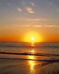 Profile for Alicia's Health Tips