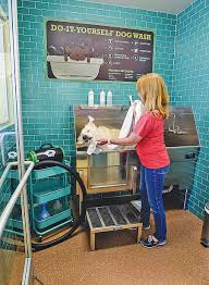 You can wash your dog yourself from just rm20 in a safe, relaxed and friendly environment. Why Regular Baths Are Important For Pet Health