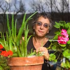 Several kinds of fruit trees can grow in pennsylvania, from sweet cherries to many kinds of apples. Growing A Medicinal Garden In The Pennsylvania Wilds Pennsylvania Wilds