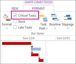 Show The Critical Path Of Your Project Project