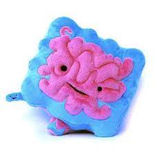 Fab Com Fab Is Everyday Design Plush Gifts Intestines
