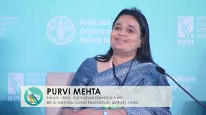 To whom much has been given, much is expected. Purvi Mehta Head Bill Melinda Gates Foundation Bmgf India Youtube