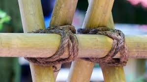 Étant un produit fait à la main et avec de la canne de bambou, il est possible que celui qui reçoit ait une certaine variation par rapport à la photographie. Construire Des Structures De Jardin En Cannes De Bambou Esthetique Exotique Et Ecologique Alternatiba Alfortville