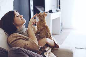 6 Skills You Need To Be A Great Cat Sitter The Catnip Times