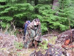 Police dog puts end to wild chase