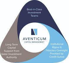 It is good risk management and standard practice in the real estate industry to invest through subsidiaries. Aventicum Capital Management