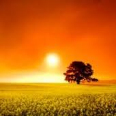 Obituary information for Joseph M. "Nuke" Barrick