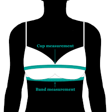 how to measure for a bra sizecharter