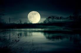 He smiled down at me, his smile the only thing i could see perfectly outlined in the pale, ghostly moonlight. How Moonlight Sets Nature S Rhythms Science Smithsonian Magazine
