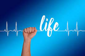 1,000+ vectors, stock photos & psd files. Hd Wallpaper Heart Curve Live Thread Seidener Thread Health Healthy Wallpaper Flare