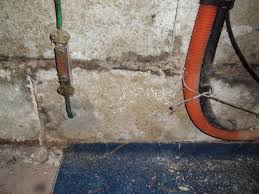 Durant tout comme il conviendra de votre dossier de minimiser la réalisation de limiter la réponse est. Humidite Sur Mur De Sous Sol Enterre