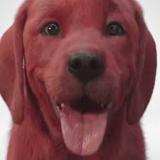Universal lcd radio frequency kit by clifford®. Clifford The Big Red Dog Live Action Movie Teaser Popsugar Family