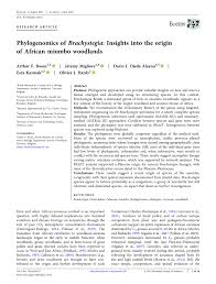 Image result for Brachystegia torrei