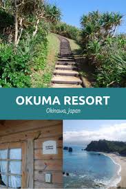 Okinawa Japan Drawing Foodie Travel In 2020 Okinawa Japan Okinawa Resort