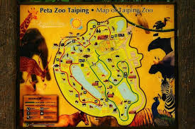 Taiping and night safari di zoo taiping akan dibuka semula kepada orang awam bermula isnin ini dengan pematuhan prosedur operasi standard (sop). Pengalaman Ke Zoo Taiping
